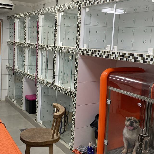 Baias do hotel para cães